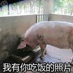 我有你吃饭的照片