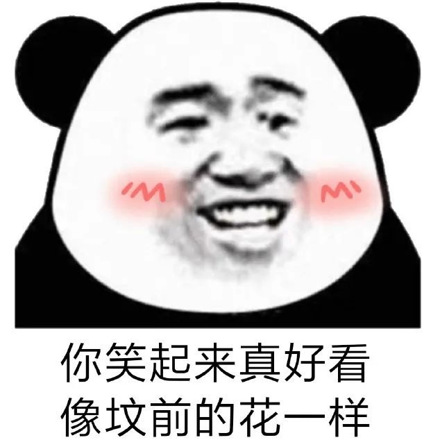 你笑起来真好看 像坟前的花一样
