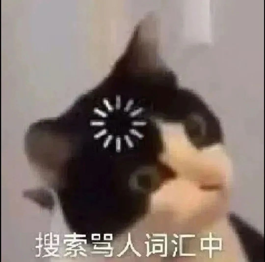 搜索骂人词汇中