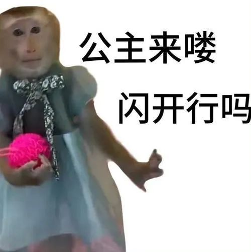 公主来喽 闪开行吗