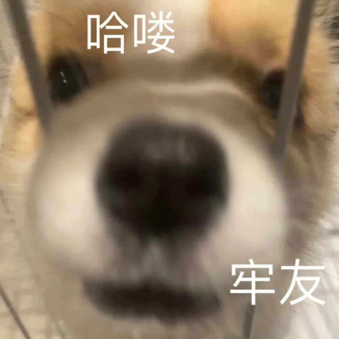 哈喽 牢友