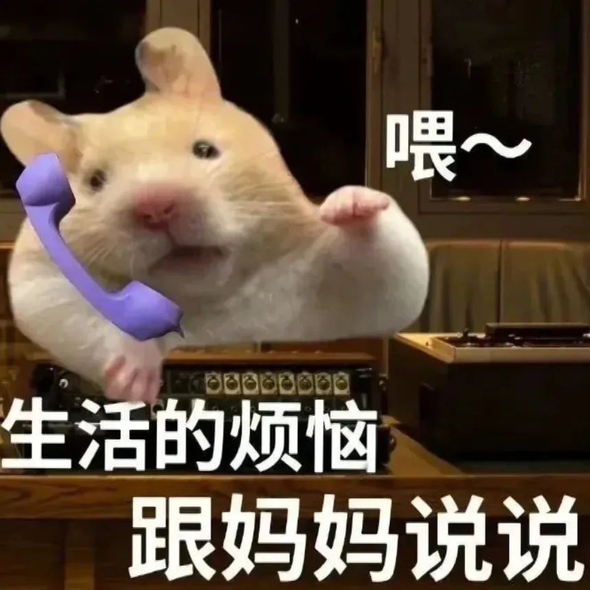 喂~生活的烦恼 跟妈妈说说