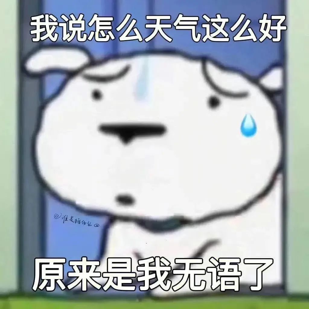 我说怎么天气这么好 原来是我无语了
