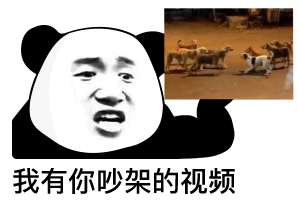 我有你的视频表情包