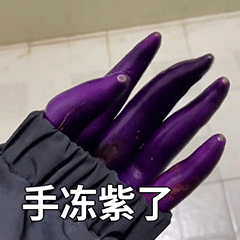 手冻紫了