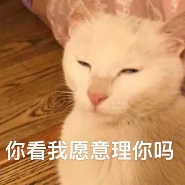 你看我愿意理你吗