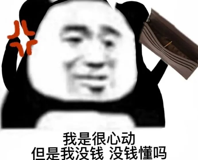 我是很心动 但是我没钱 没钱懂吗