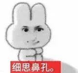 细思鼻孔。