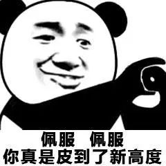 佩服 佩服 你真是皮到了新高度
