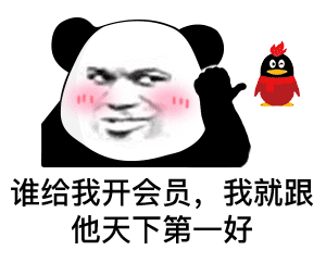 谁给我开会员，我就跟他天下第一好