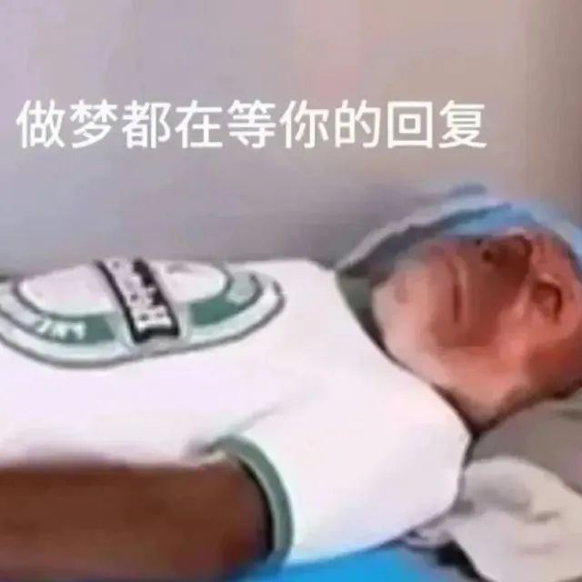 做梦都在等你的回复