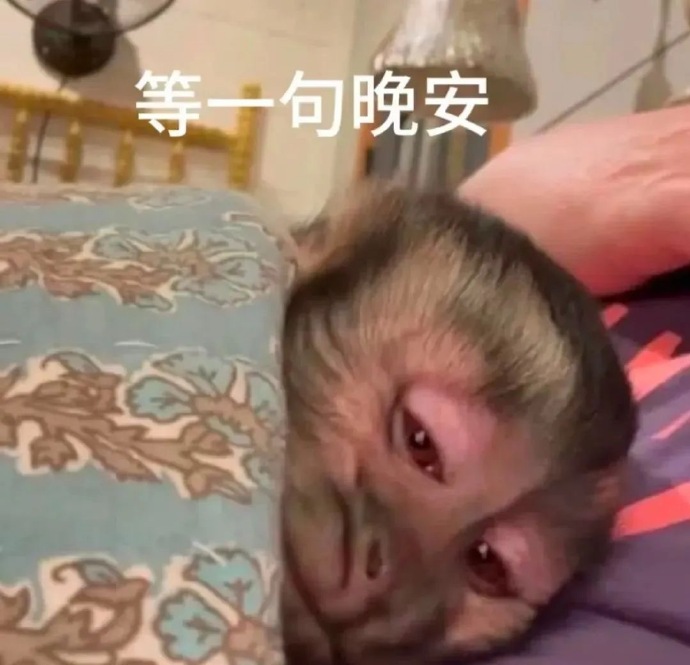 等一句晚安