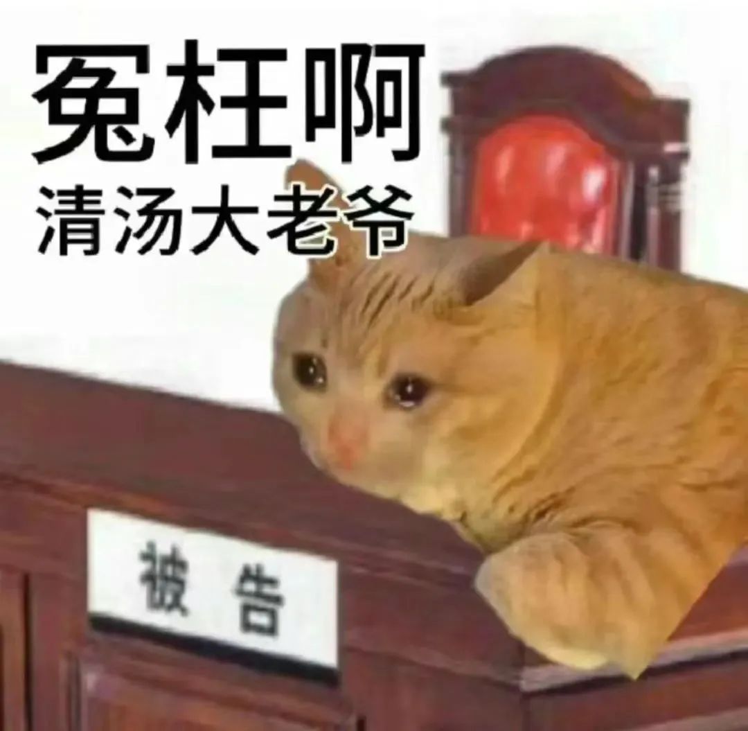 冤枉啊 清汤大老爷