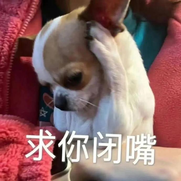 求你闭嘴