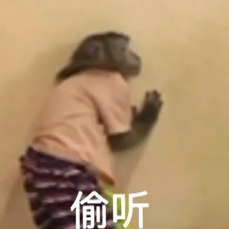 偷听 吗喽