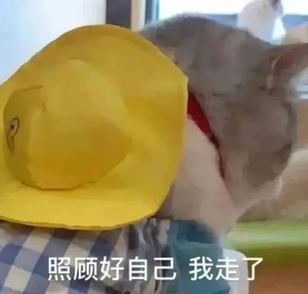 照顾好自己 我走了