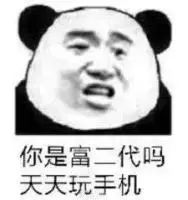 你是富二代吗 天天玩手机
