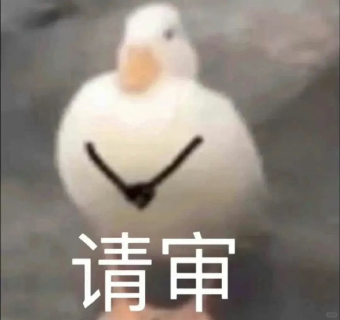 请审