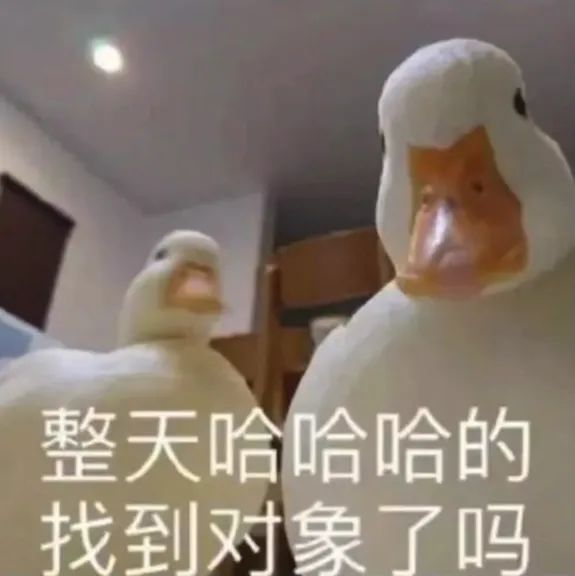 整天哈哈哈的 找到对象了吗
