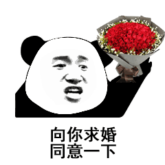 向你求婚 同意一下