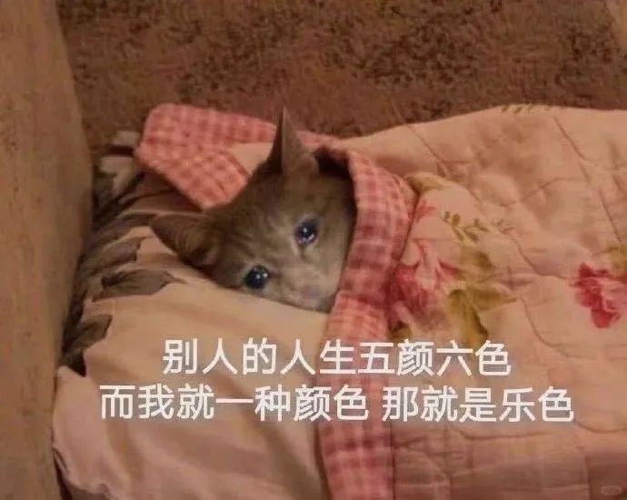 别人的人生五颜六色 而我就一种颜色 那就是乐色