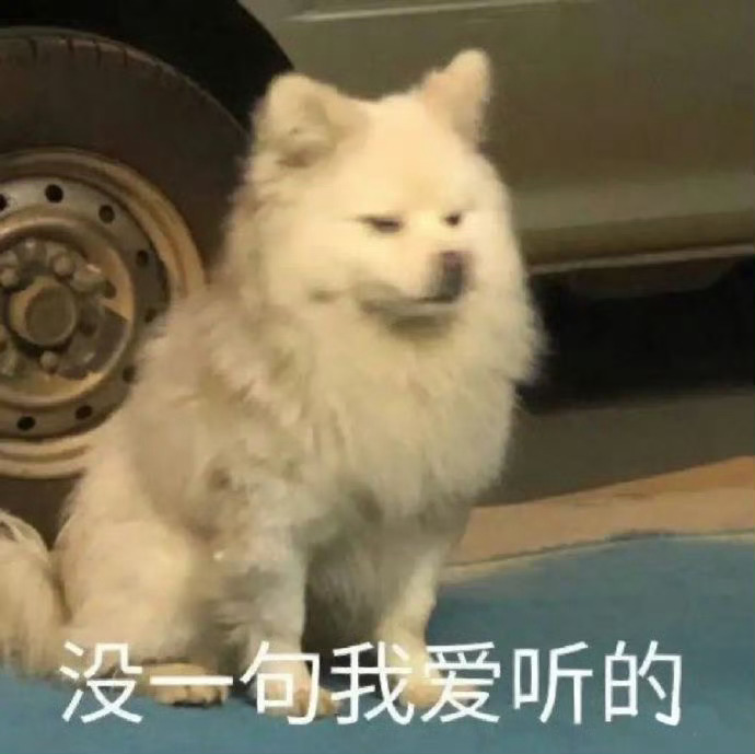 没一句我爱听的