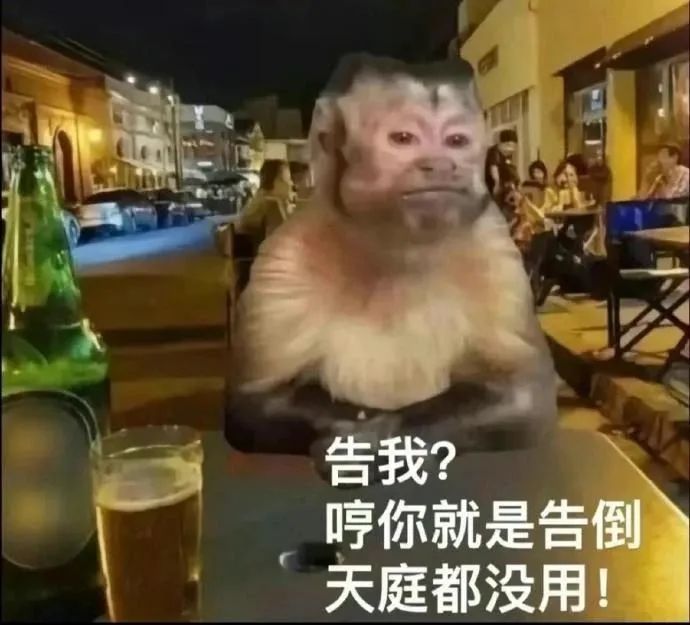 告我？哼 你就是告倒天庭都没用！