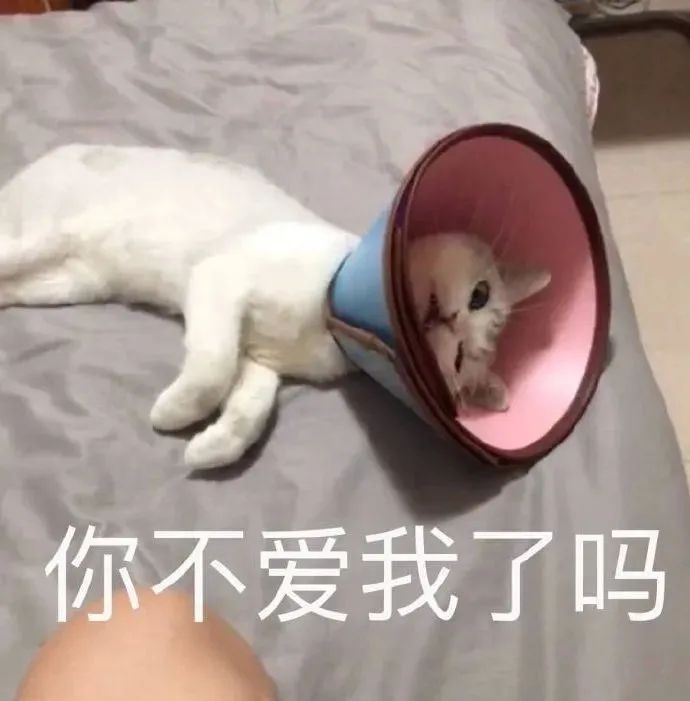 你不爱我了吗