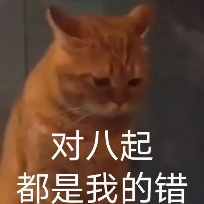 对八起 都是我的错