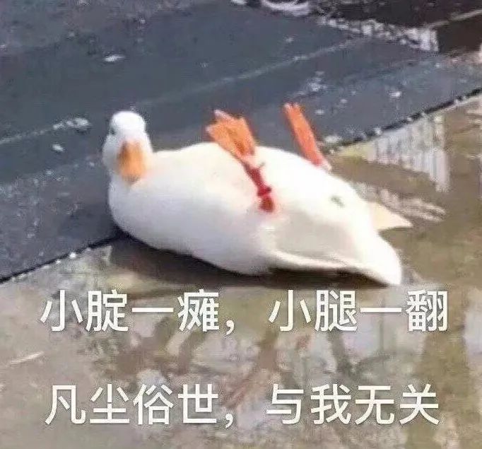 小腚一瘫，小腿一翻 凡坐俗世，与我无关