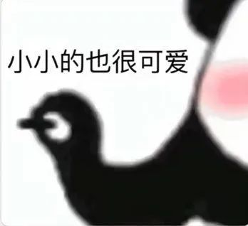 小小的也很可爱