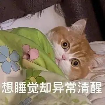 想睡觉却异常清醒