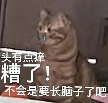 头有点痒 糟了！不会是要长脑子了吧