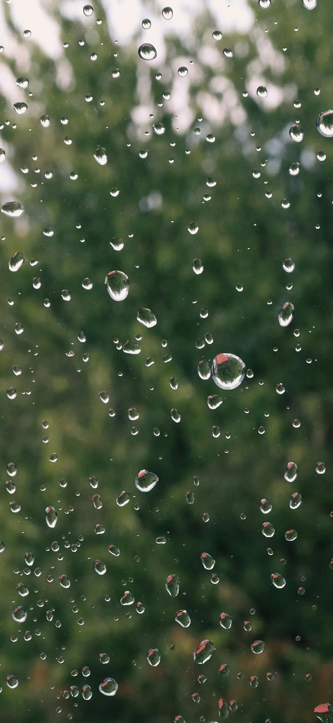 雨滴窗口手机壁纸