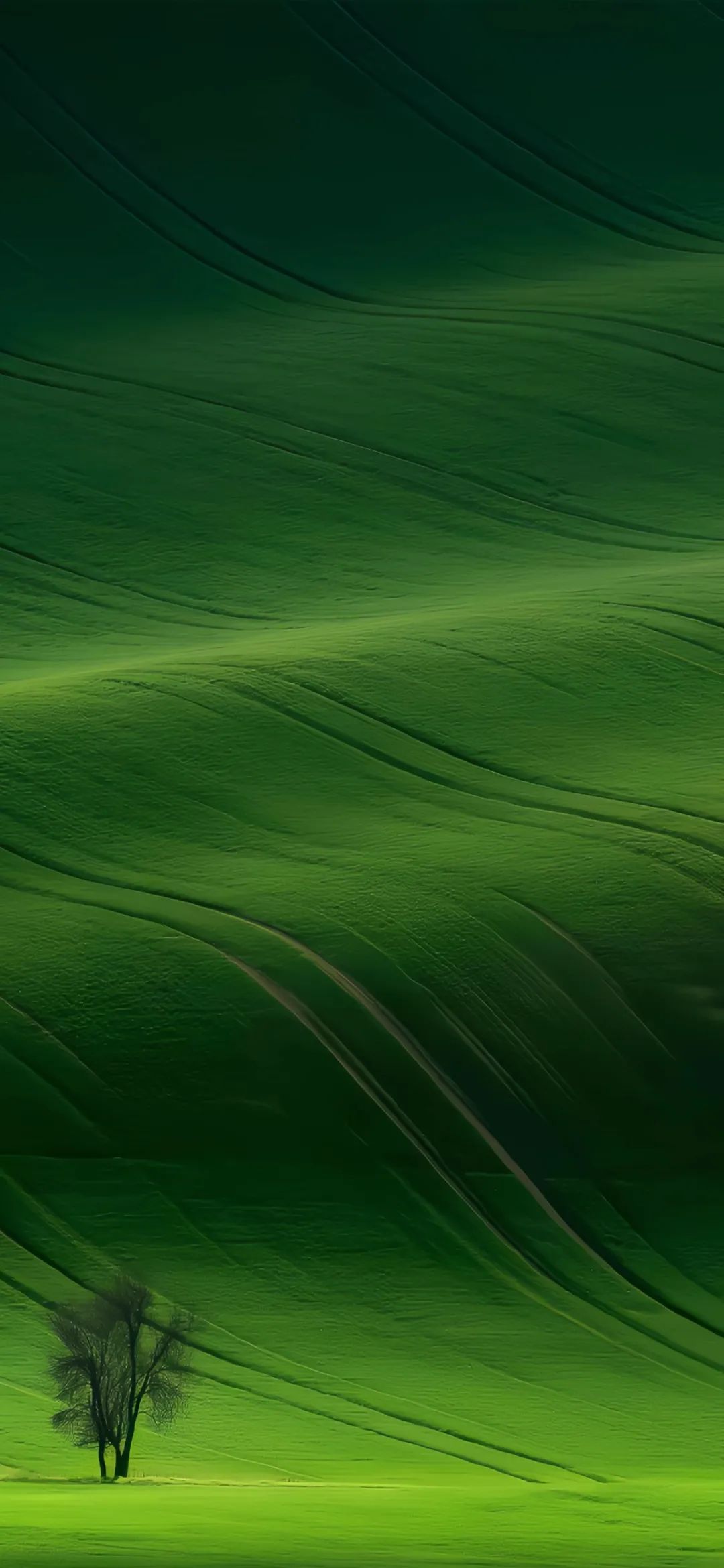 绿色波浪草地护眼手机壁纸