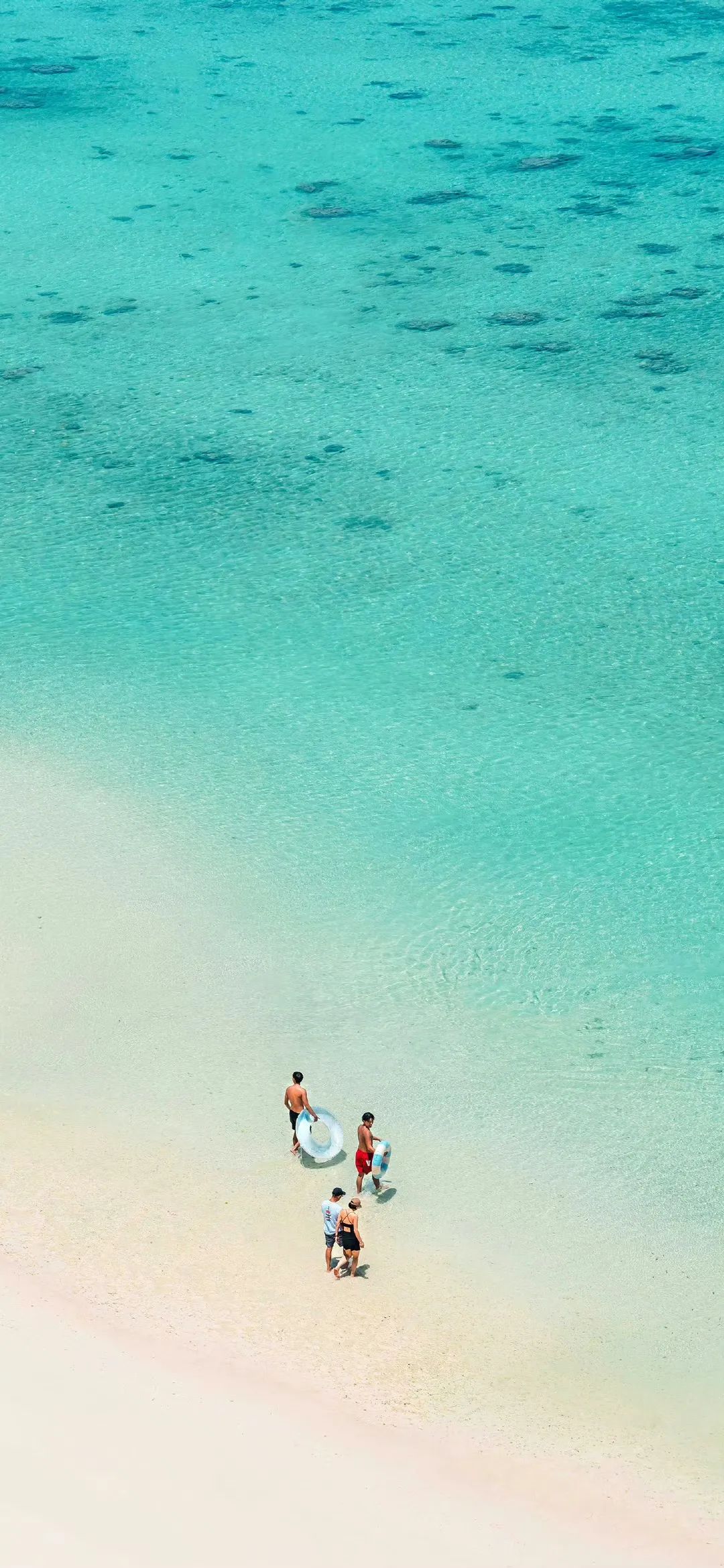 海边有四个人拿游泳圈准备游泳手机壁纸