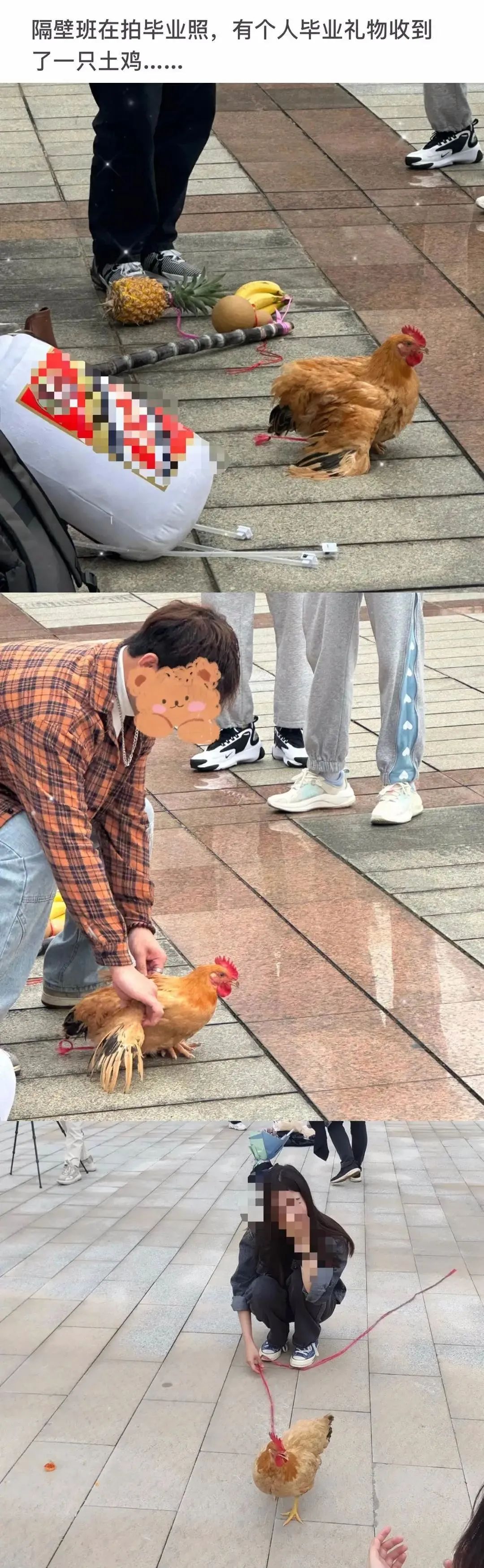 这毕业礼物就非送不可吗