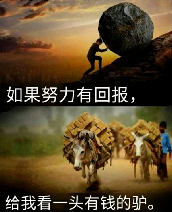 驴累了就不干了，人可以自己买红牛干到猝死