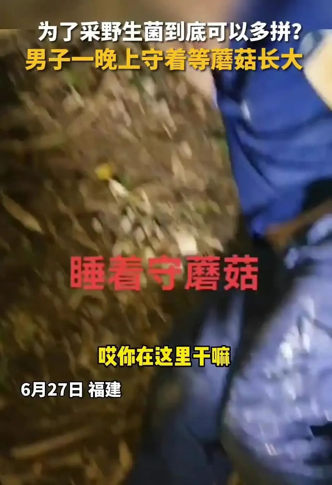 云南人：比我还拼是吧...