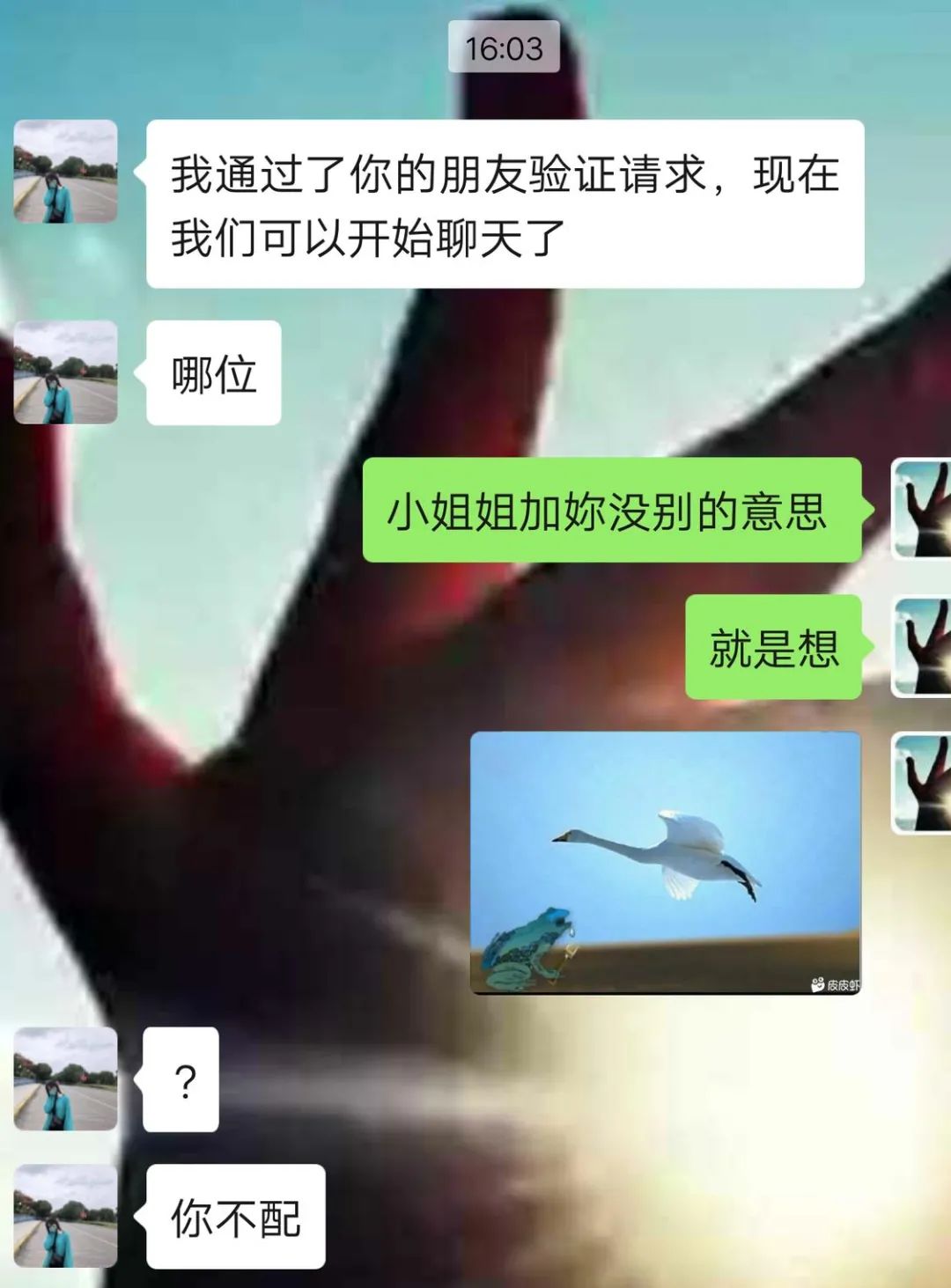 那我就飞走了。