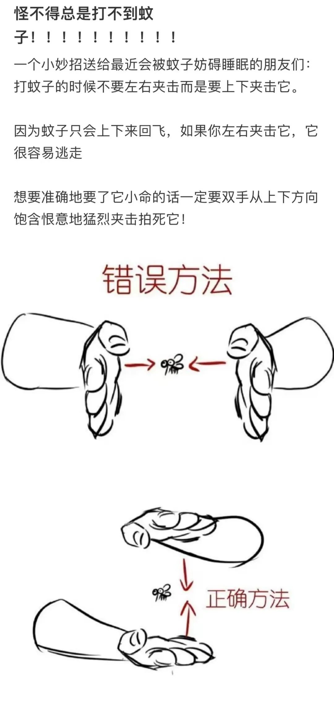 这下再也不怕蚊子跑了