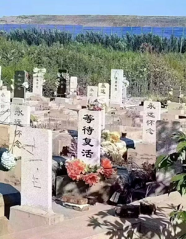 《等待复活》 