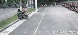 虐狗