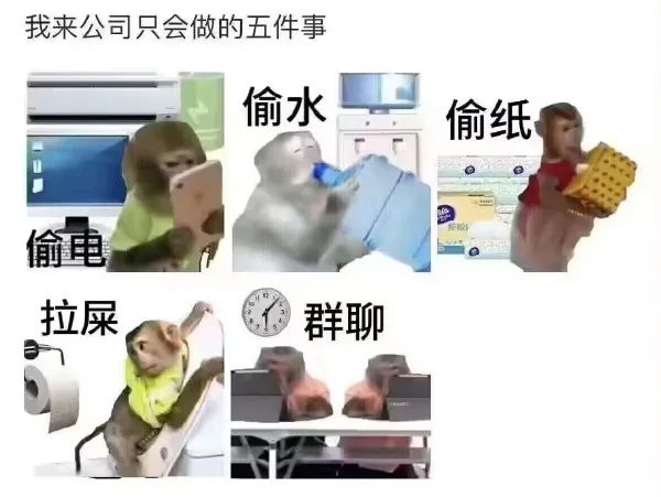 我来公司只会做的五件事