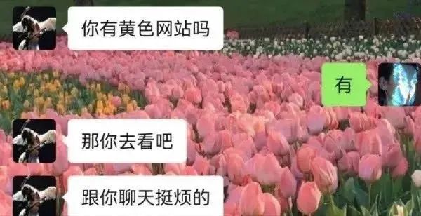以为要开启新篇章了