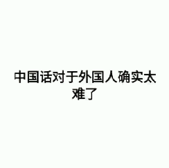 中文太难了