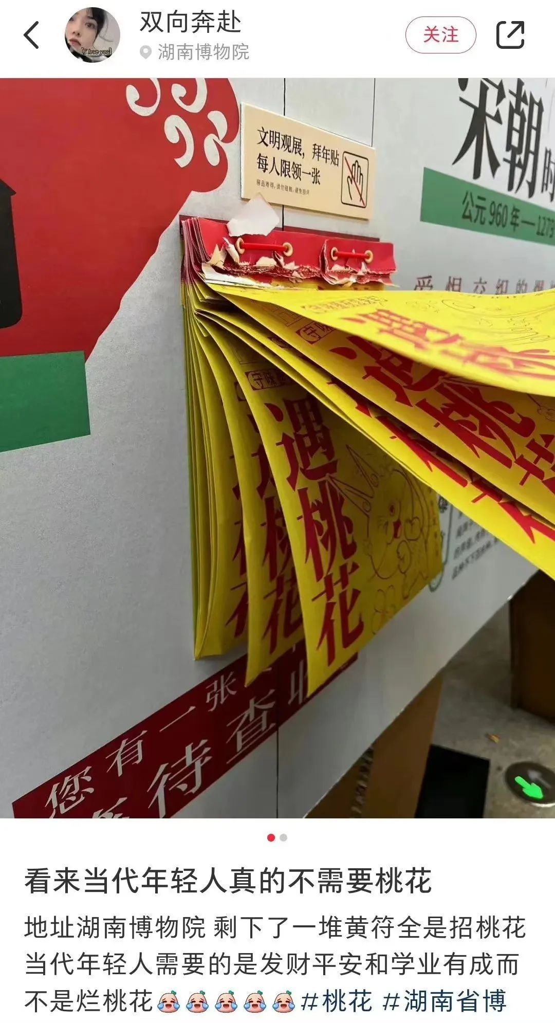 要桃花有啥用？还不如搞钱...