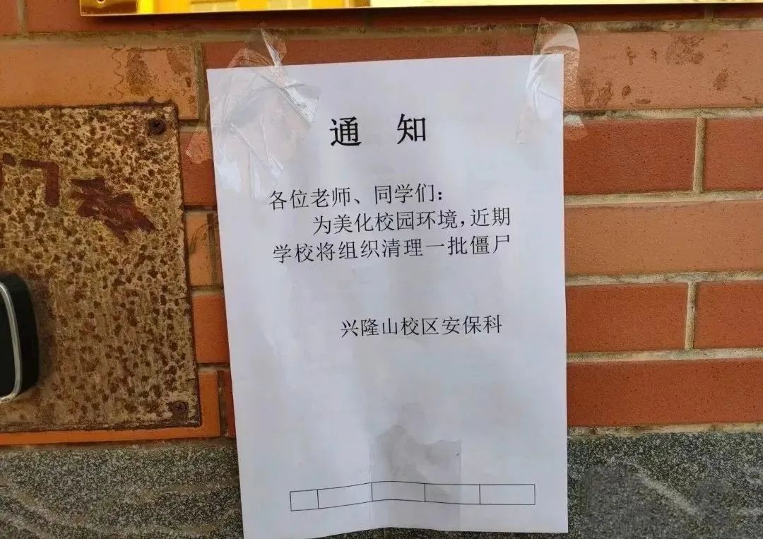 报告老师，可以现场看看是怎么清理的僵尸吗?