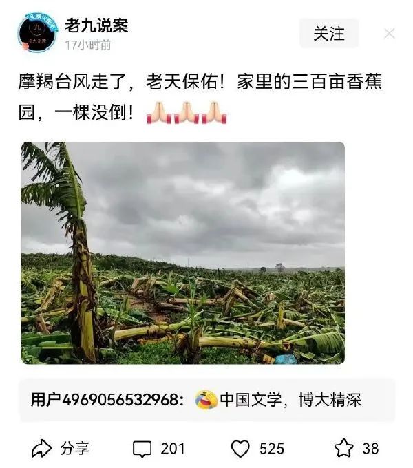 损失这么大还能自嘲 只能说心态还算不错