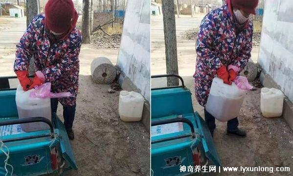 孕妇尿回收是干什么用的